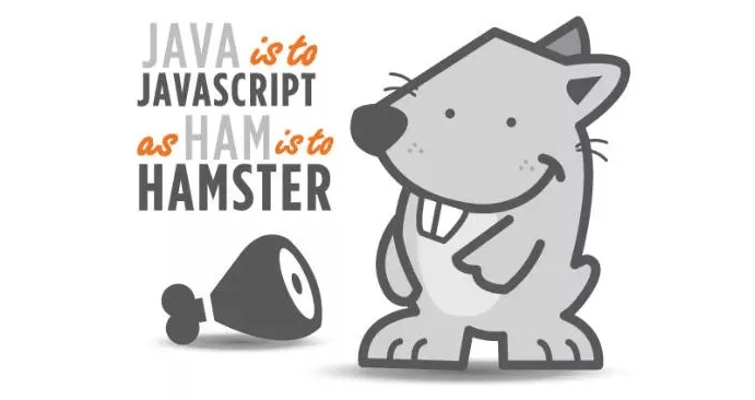 чем отличаются java и javascript